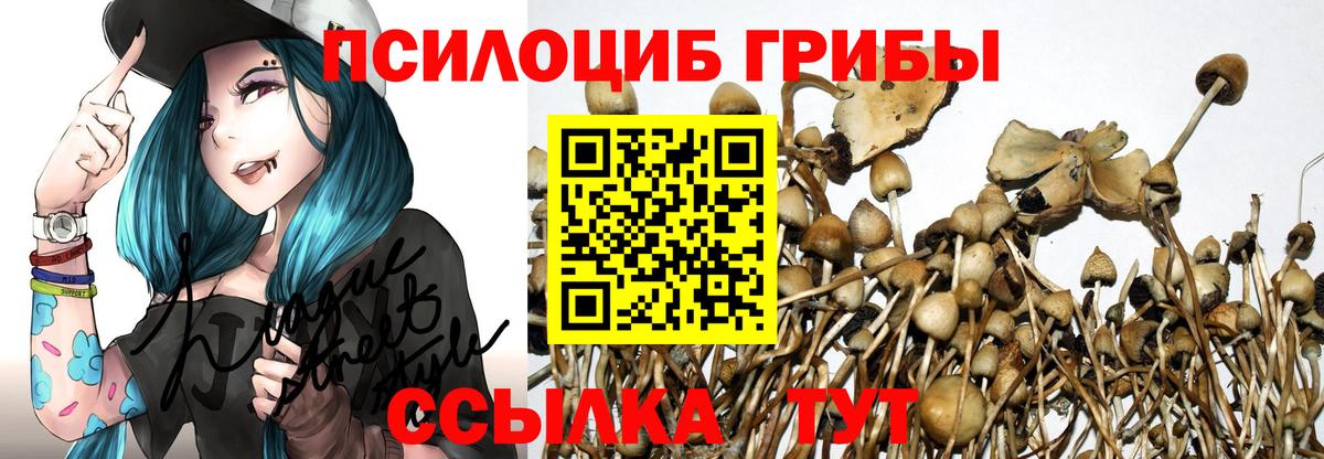 Галлюциногенные грибы мухоморы Урюпинск