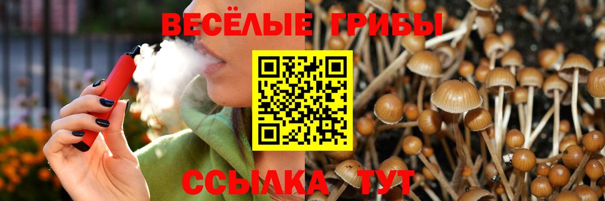 Галлюциногенные грибы мицелий  Вход с VPN  Урюпинск 